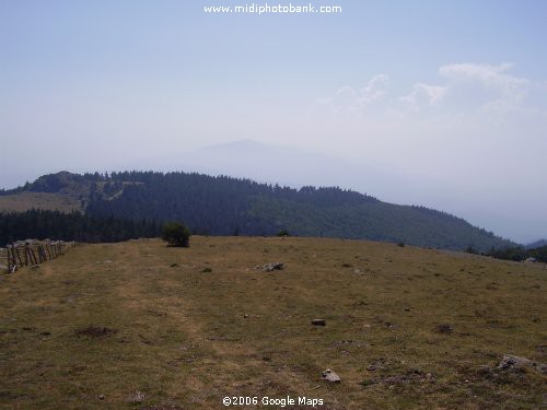 The Pyrenées Mountain Range