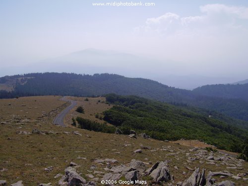 The Pyrenées Mountain Range