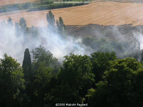 Summer in the South of France