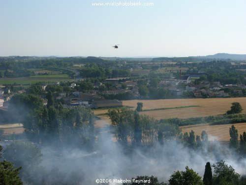 Summer in the South of France