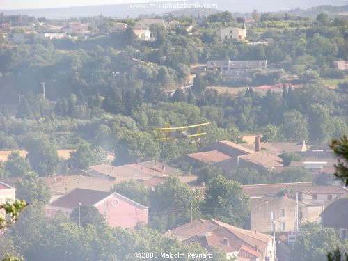 Summer in the South of France