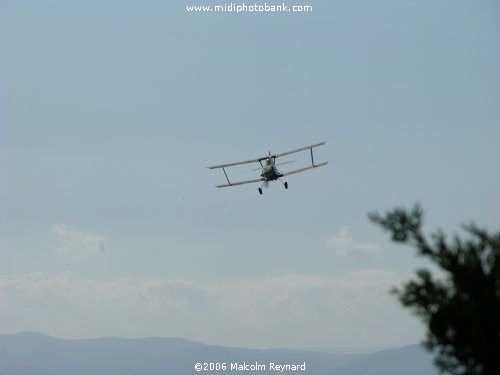 Summer in the South of France