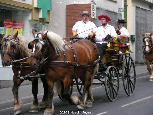 Spanish Festival