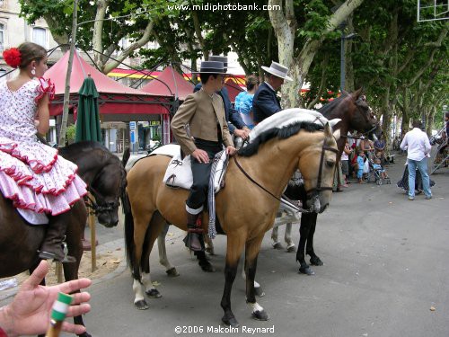 Spanish Festival