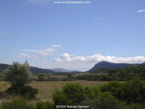 The Corbières Hills