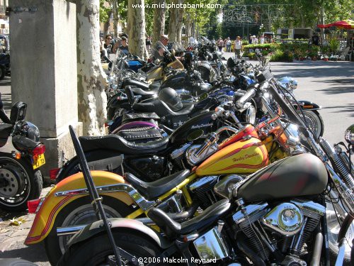 Harley Davidson Rally