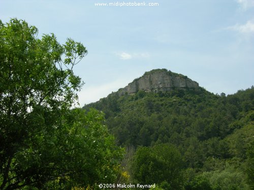 Hills of the Corbières