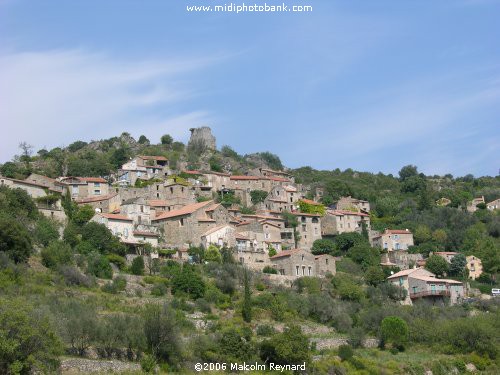 Haut Languedoc Regional Park