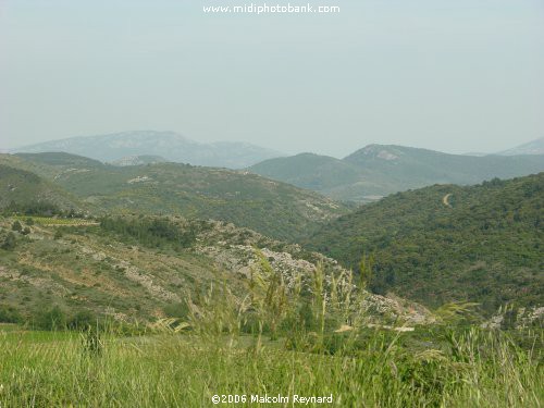 The Corbières Hills