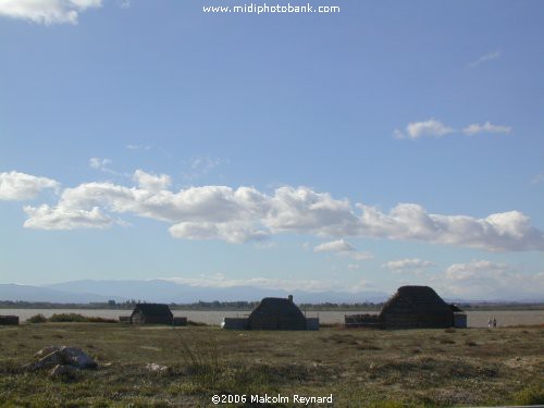 Etang de Canet - Perpignan