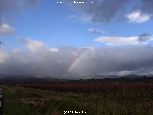 The Haut Languedoc Regional Park