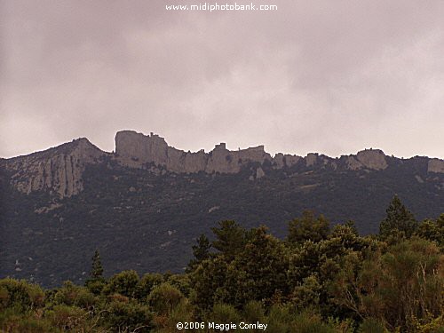 Cathar Castle