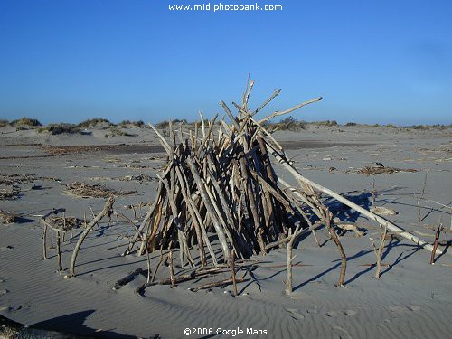 Driftwood construction