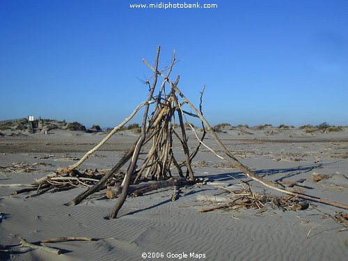 Driftwood construction