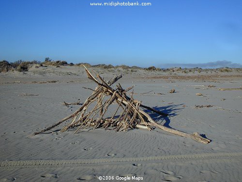 Driftwood construction