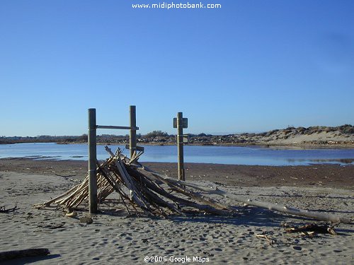 Driftwood construction