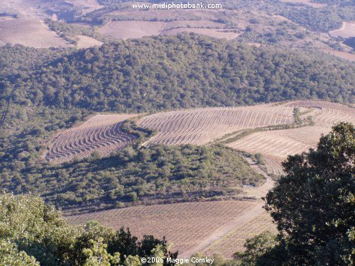 Hill walking on the Serre de Quintillan