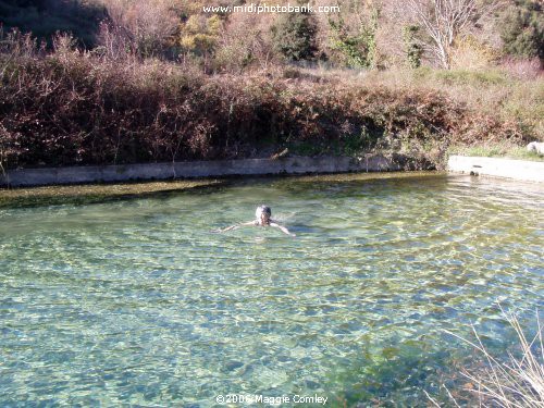 Christmas Day Swim - Quintillan