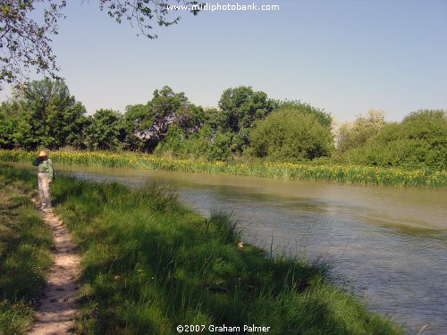 Canal du Midi