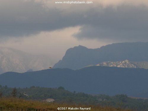 Haut Languedoc Regional Park