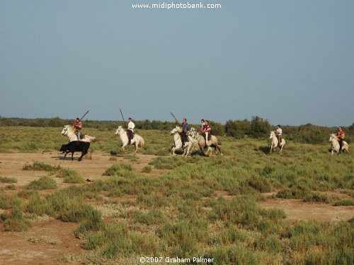 French "Cowboys"