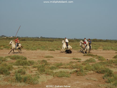 French "Cowboys"