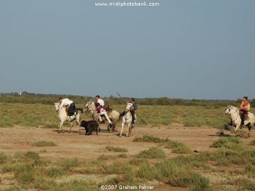 French "Cowboys"