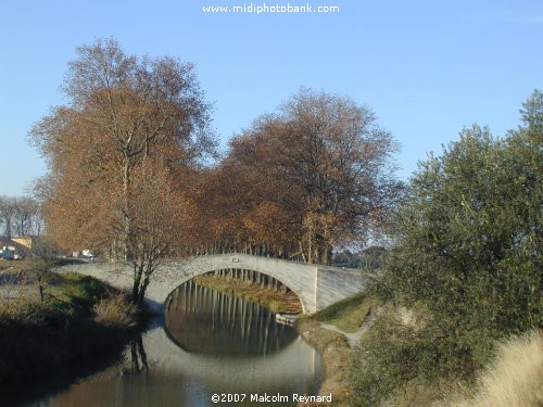 Canal du Midi in Midwinter