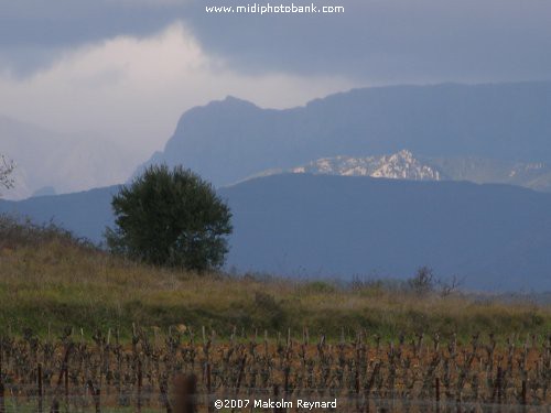 Photos of the Haut Languedoc Regional Park