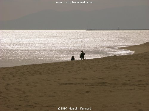 On the Beach - January