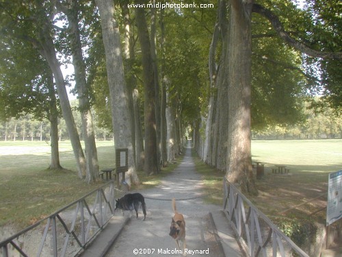 Pierre Paul Riquet and The Canal du Midi