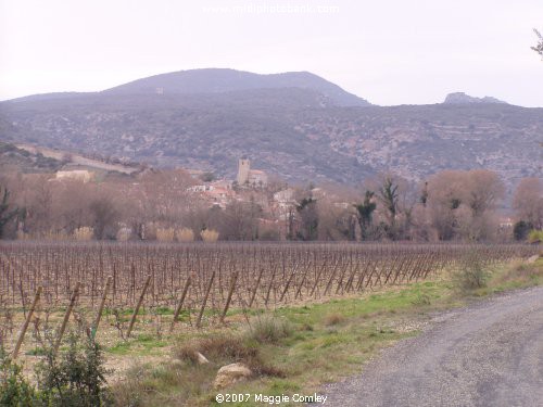 Photos of the Corbières - Paziols