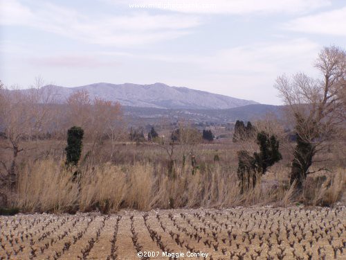 Photos of the Corbières - "Serre de Vingrau"