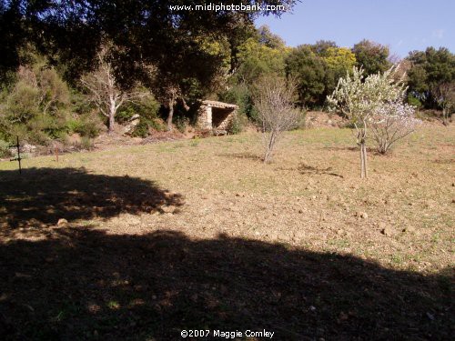 Photos of the Corbières