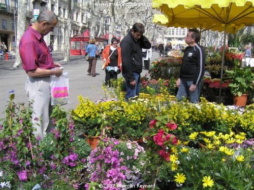 Photos of Béziers