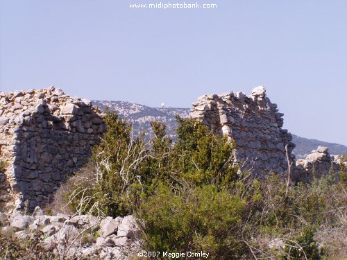 Photos of Roussillon - Périllos