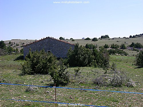 La Bergerie de Tedenat