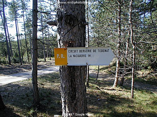 La Bergerie de Tedenat