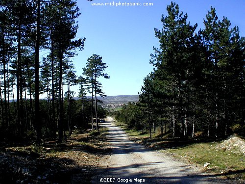 La Bergerie de Tedenat