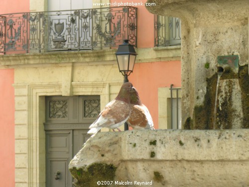 Photos of the Herault - Béziers