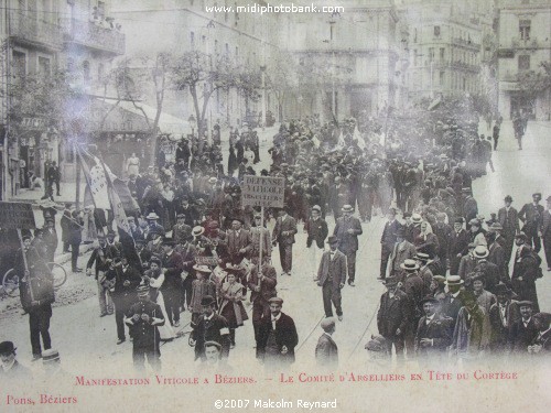 The 1907 French Wine Revolt