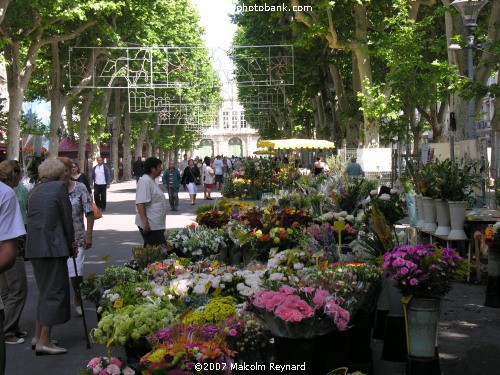 The Friday Flower Market - Béziers