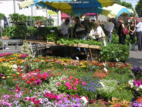 The Friday Flower Market - Béziers