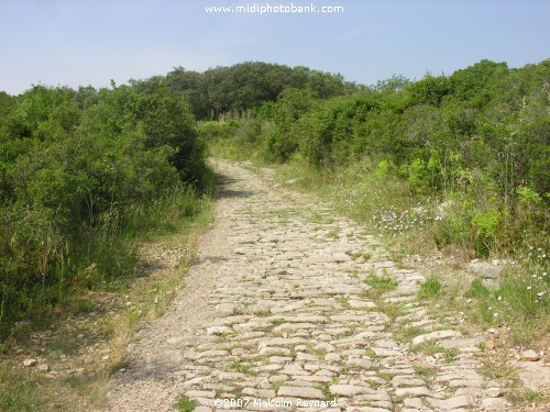 Via Domitia & The Oppidum d'Ambrussum