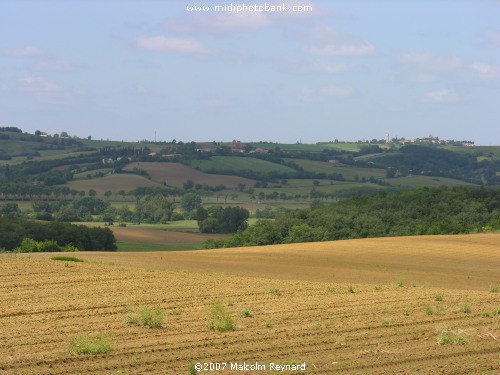 The Rolling "Lauragais" Farmland