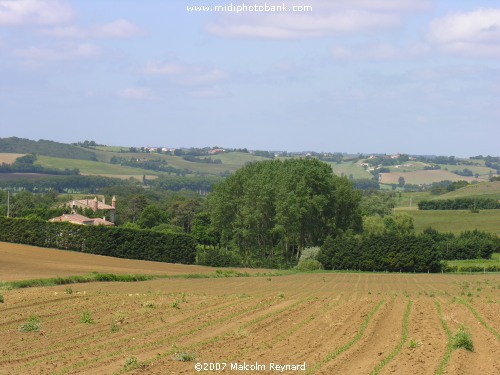 The Rolling "Lauragais" Farmland