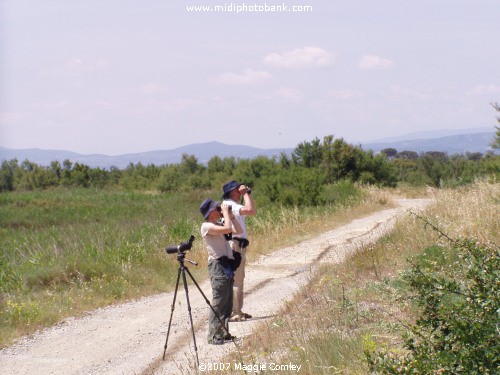 Bird Watching near Gruisson