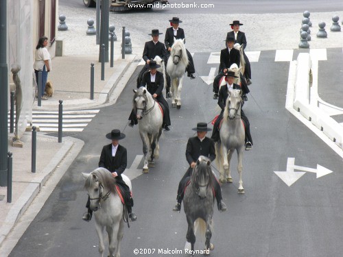 The Spanish Community of Béziers