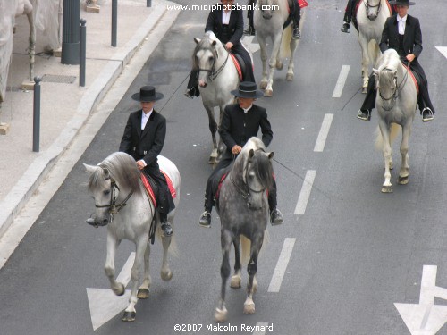 The Spanish Community of Béziers