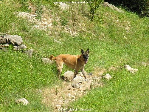 Saint Guilhem le Désert - Cirque du Bout du Monde